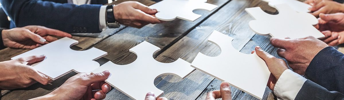 Teambildung: Circle of Experts